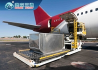 Spedizioniere preciso Air Shipment delle merci aviotrasportate dalla Cina alla FBA di U.S.A. Regno Unito Canada Amazon