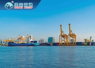 Tassi di trasporti via mare competitivi che spediscono spedizioniere dalla Cina ad universalmente