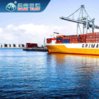 Servizi professionali dell'esportazione dello spedizioniere internazionale LCL FCL dell'importazione