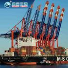 La logistica di commercio elettronico di Dropshipping assiste l'adempimento mondiale di DDP