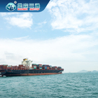 La Cina allo spedizioniere Amazon Dropship di trasporto del mare dell'Australia ad Europa