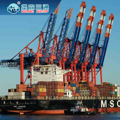 Trasporto del mare della Cina International Freight Forwarder Logistics Company ad Europa/Regno Unito