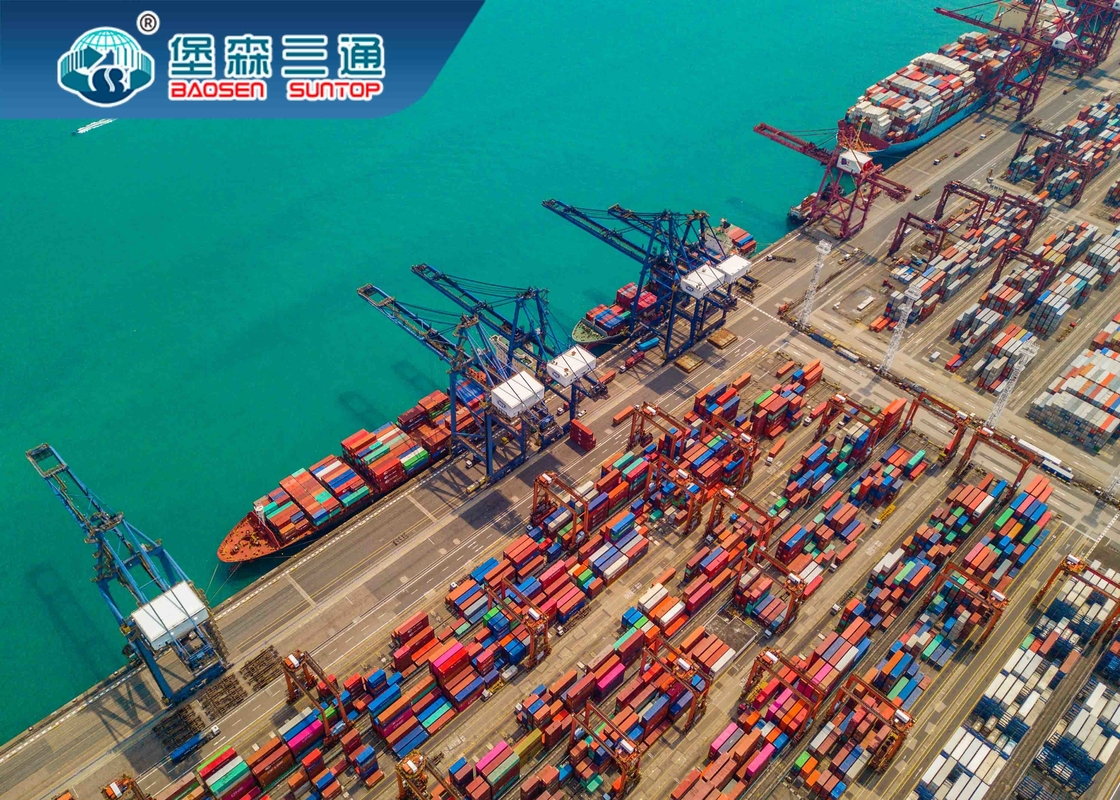 Servizio di trasporti via mare di porta in porta dalla Cina alla CATENA DELL'OROLOGIO dell'ARIA DDU DDP CIF di FBA del mondo FCL LCL